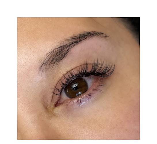 Classic Lash & Brow