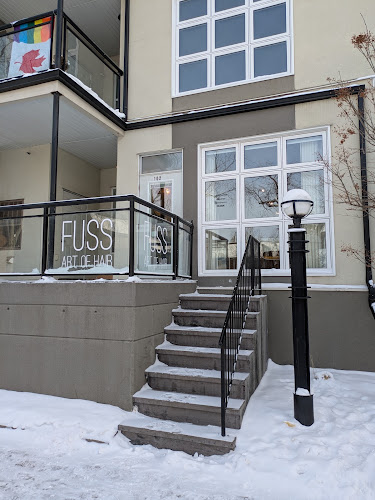 Fuss Art of Hair