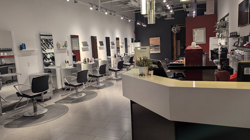 Ombre Salon YYC