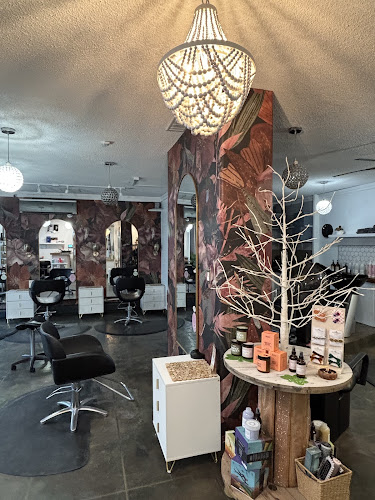 Vivid Image Studio
