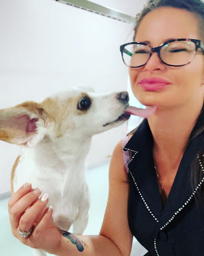 Chelsie Bows For Paws Dog Grooming Services