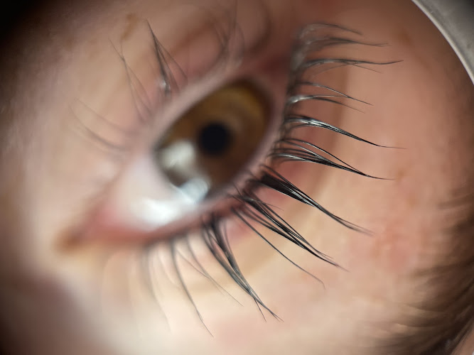 Elevate Lash Lounge Inc.