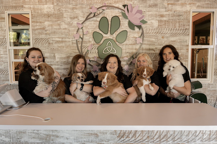It's All Pawsitive Dog Spa & Wellness Centre