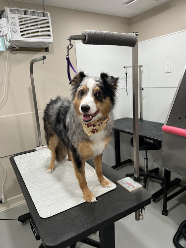 Krissy’s Perfect Paws Dog Grooming