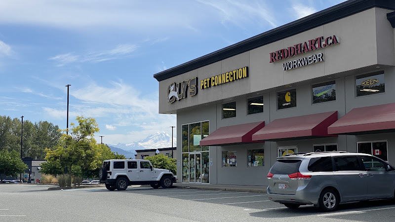 Oly's Doggie Spa & Grooming