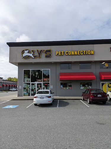Oly's Pet Connection