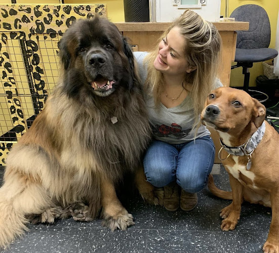 Paw Prints Grooming Salon