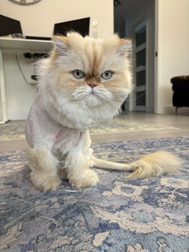 Pawlished Pet Grooming