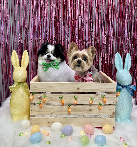 Petcious Dog Spa and Play