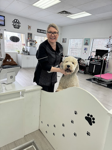 PoCo Grooming Station