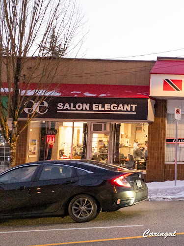 SALON ELEGANT