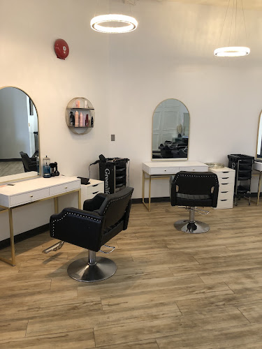 Salon envy