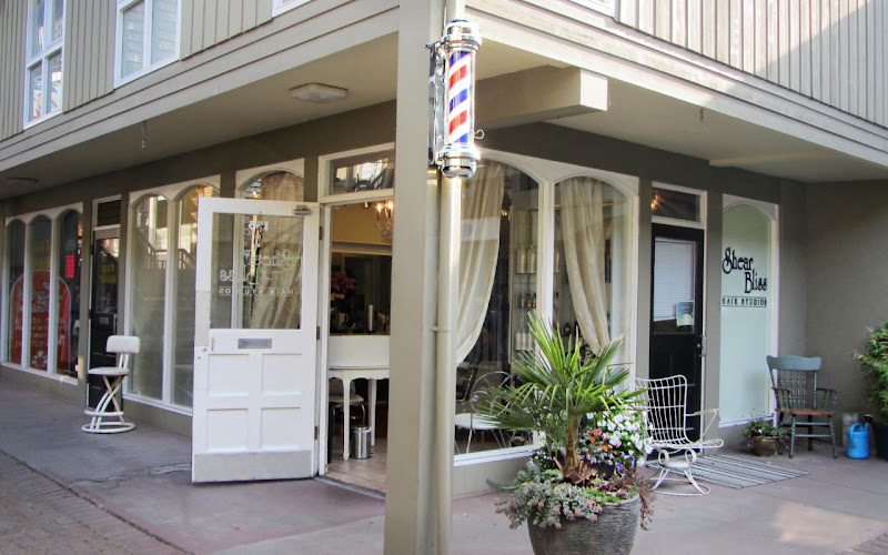 Shear Bliss Hair Studio's