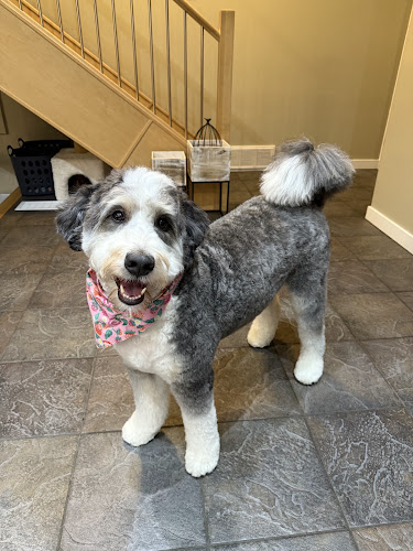 Ultra Glo Pet Spa