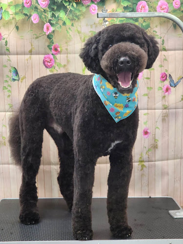 What the Fluff? Pet Parlour
