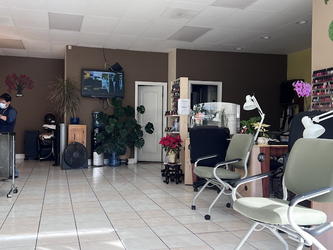 Dante Hair & Nail
