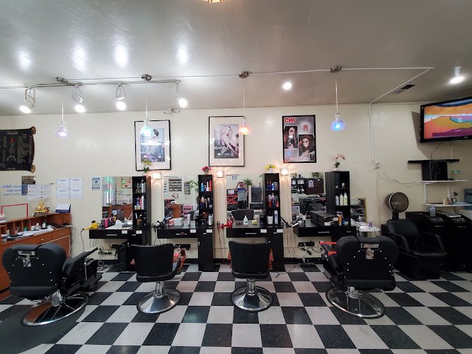 Dynamic Salon