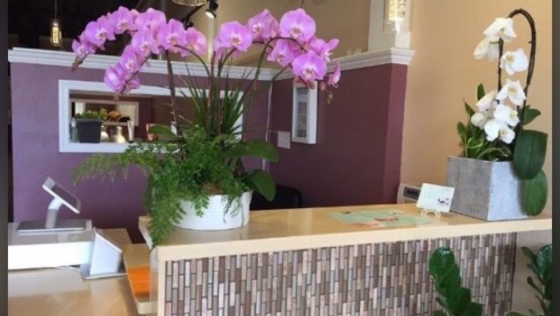 K Spa, nail salon in San Mateo, California