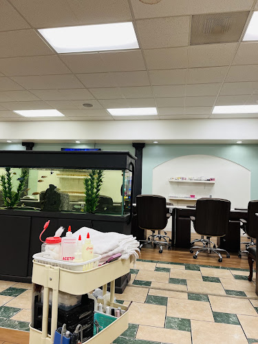 Orchid Nails Spa
