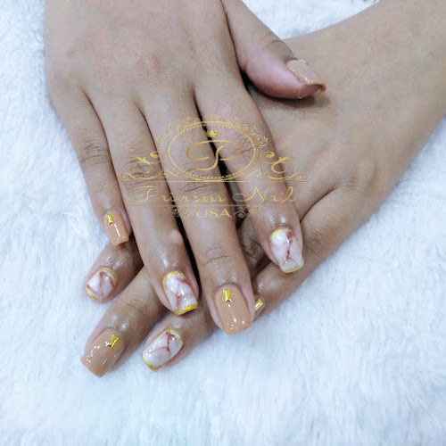 PrincessNailUSAWeho