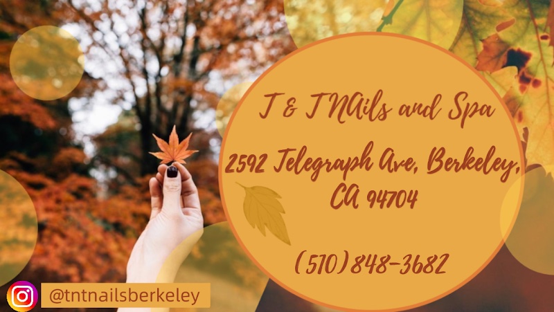 T & T Nails and Spa