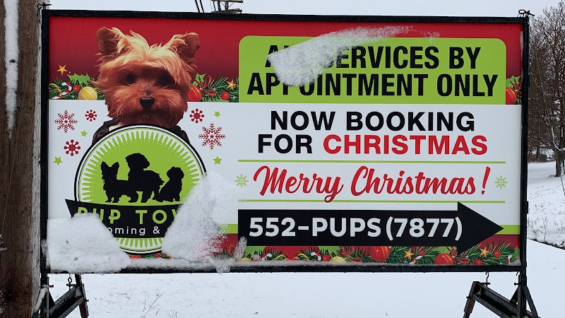 PupTown Grooming and Style