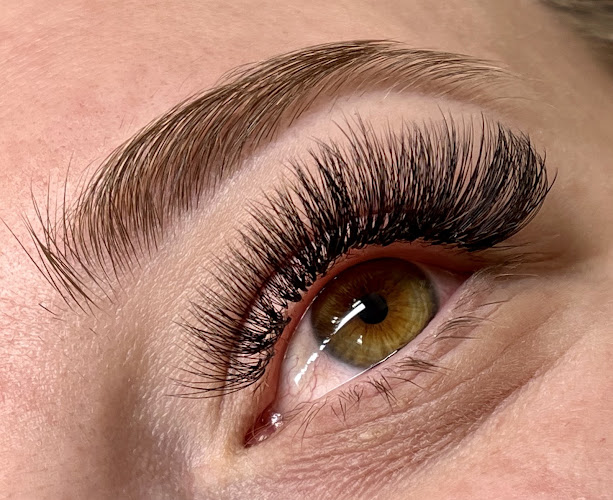 The Lash Studio