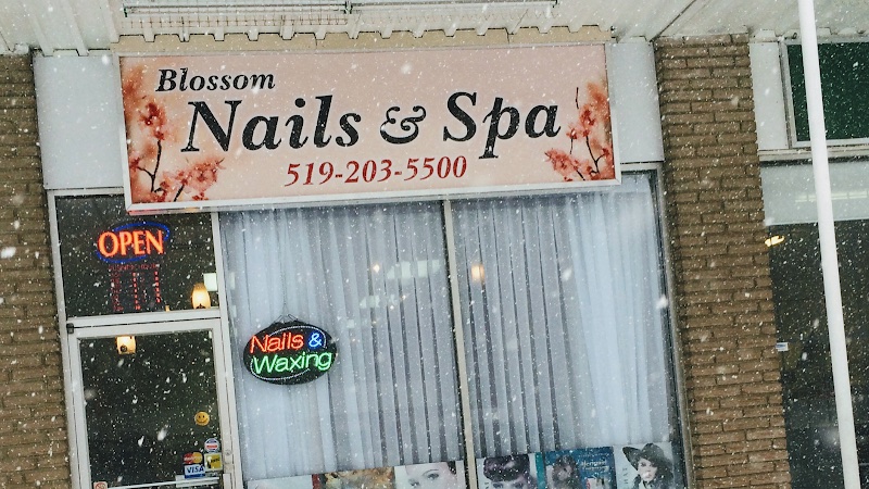 Blossom Nails Spa