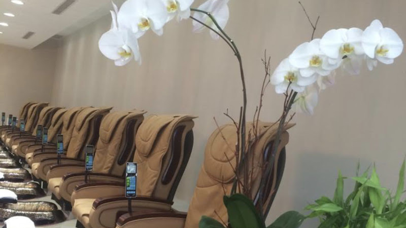 Pedi N Nails