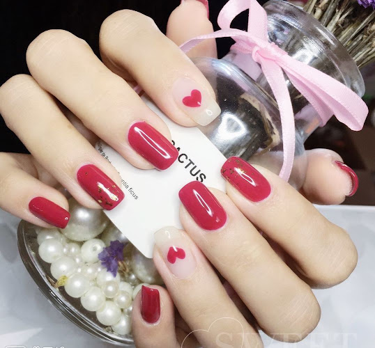 Rachel nails studio