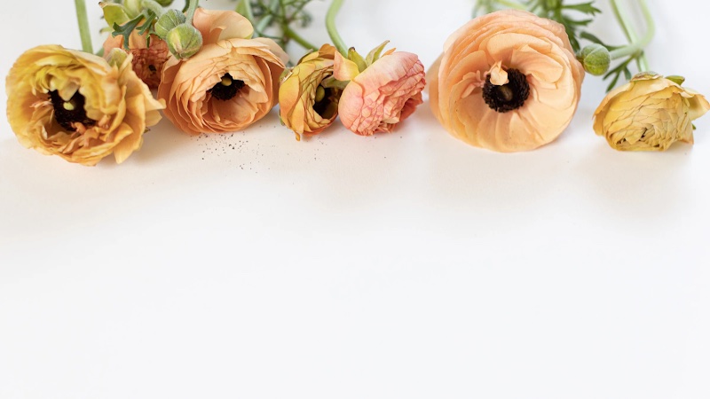 Sugar Me Esthetics