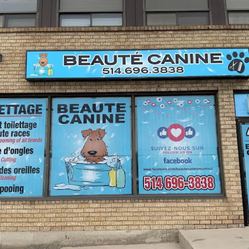 Beauté Canine