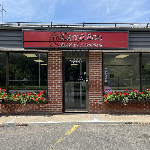 Caméléon Coiffure et esthétique