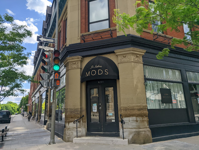 Le Salon Mods