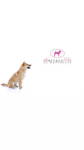 Pampered Pets of Westmount