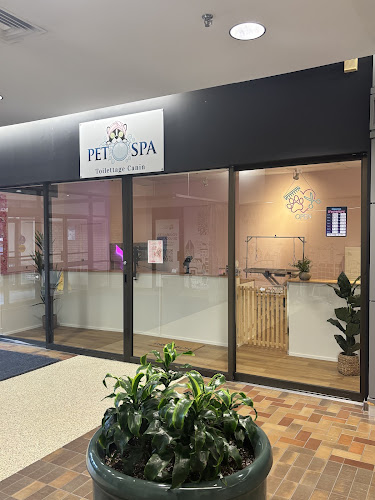 Pet O Spa - toilettage chien Brossard