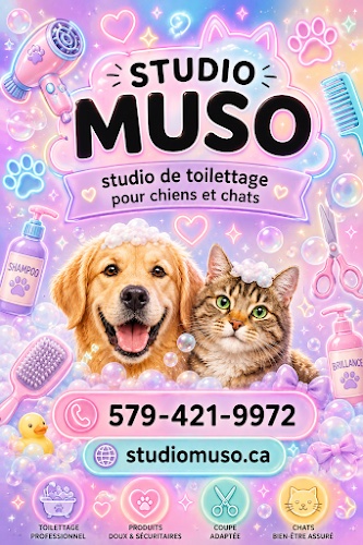 Studio Muso