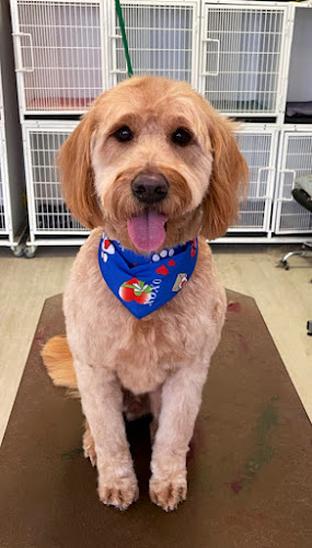 Posh Paws Spa & Boutique