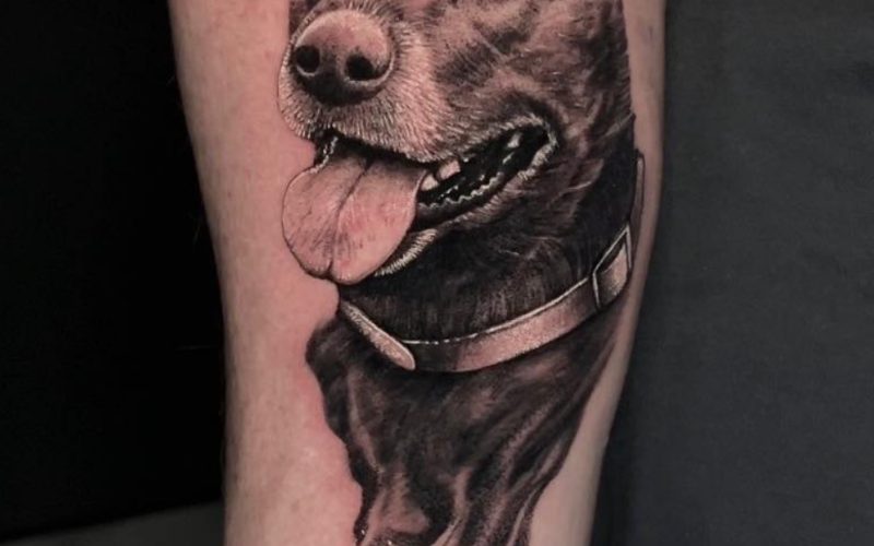 Steel N Ink Collingwood
