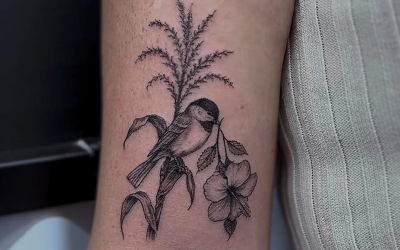 Steel N Ink Hamilton, tattoo and piercing studio in Hamilton